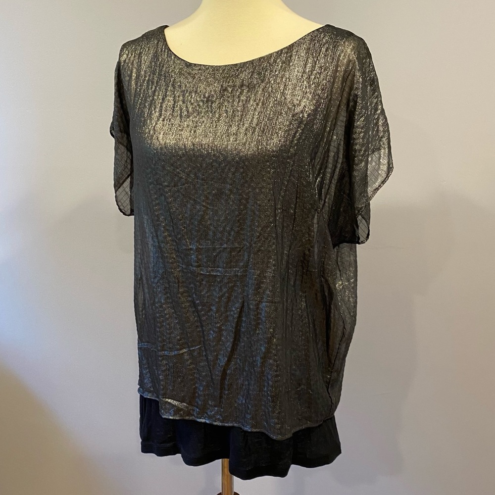 Express Sheer Loose Fitting Crop Tee with Tank Top